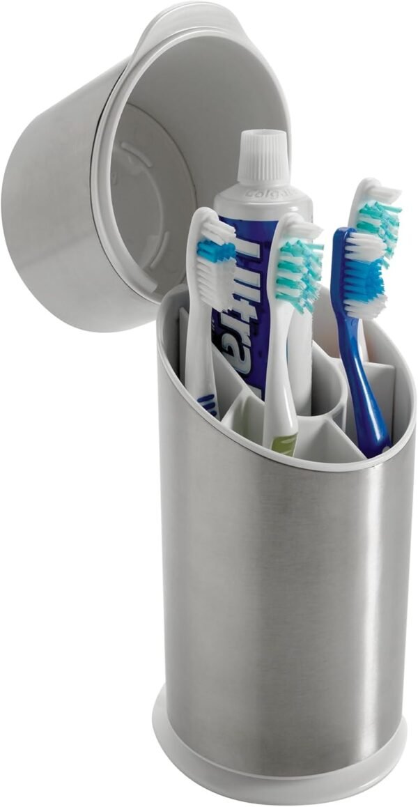 Stainless Steel Toothbrush Organizer 9.75 Inch